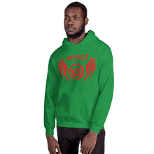 Load image into Gallery viewer, Detroit FLO Wings Hoodie (Red)