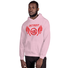 Load image into Gallery viewer, Detroit FLO Wings Hoodie (Red)