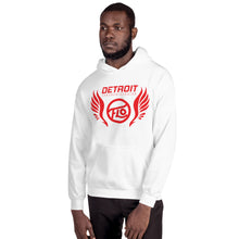 Load image into Gallery viewer, Detroit FLO Wings Hoodie (Red)